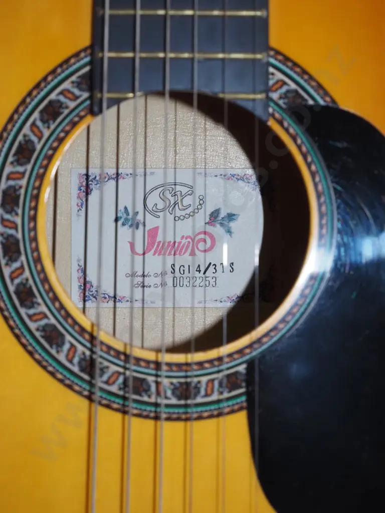 SX Junior acoustic guitar and carry case Image 1++