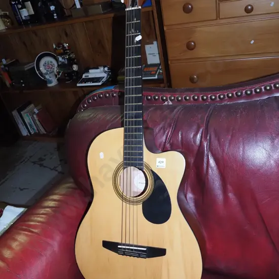 Johnston acoustic guitar