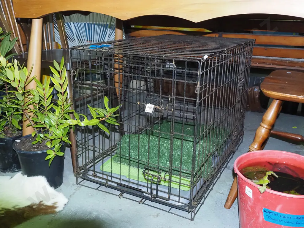 metal pet cage with artificial grass and trays H-540 W-480 D-760 Image 1++
