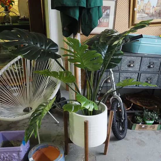 white jardiniere on wooden stand with plastic fruit salad plant