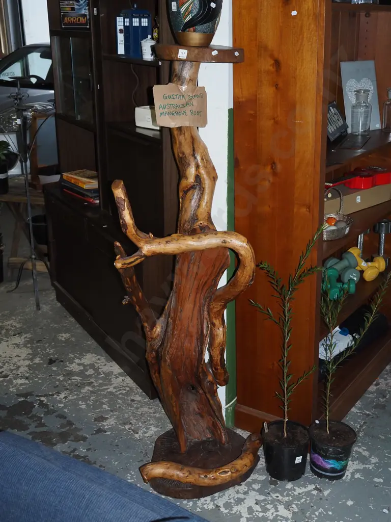 guitar stand/tall jardiniere made from Australian mangrove tree root H-1440  Image 1++