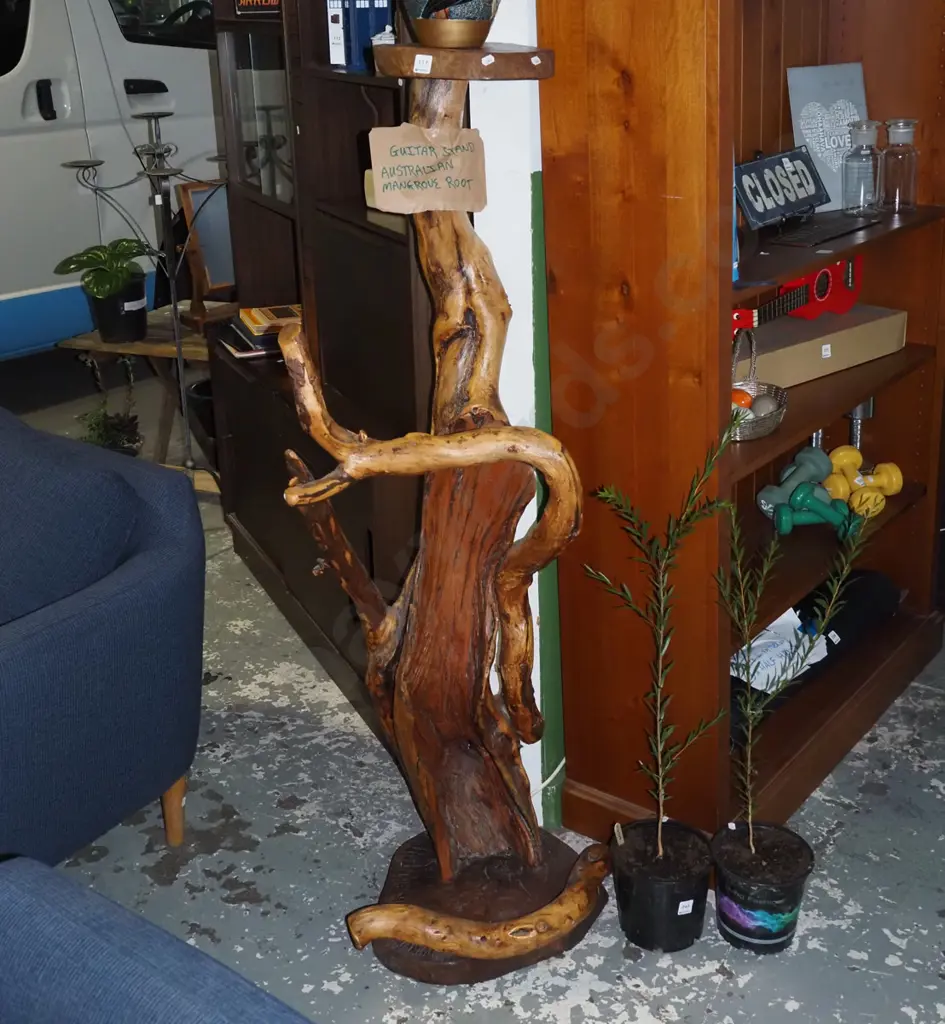 guitar stand/tall jardiniere made from Australian mangrove tree root H-1440  Image 1++