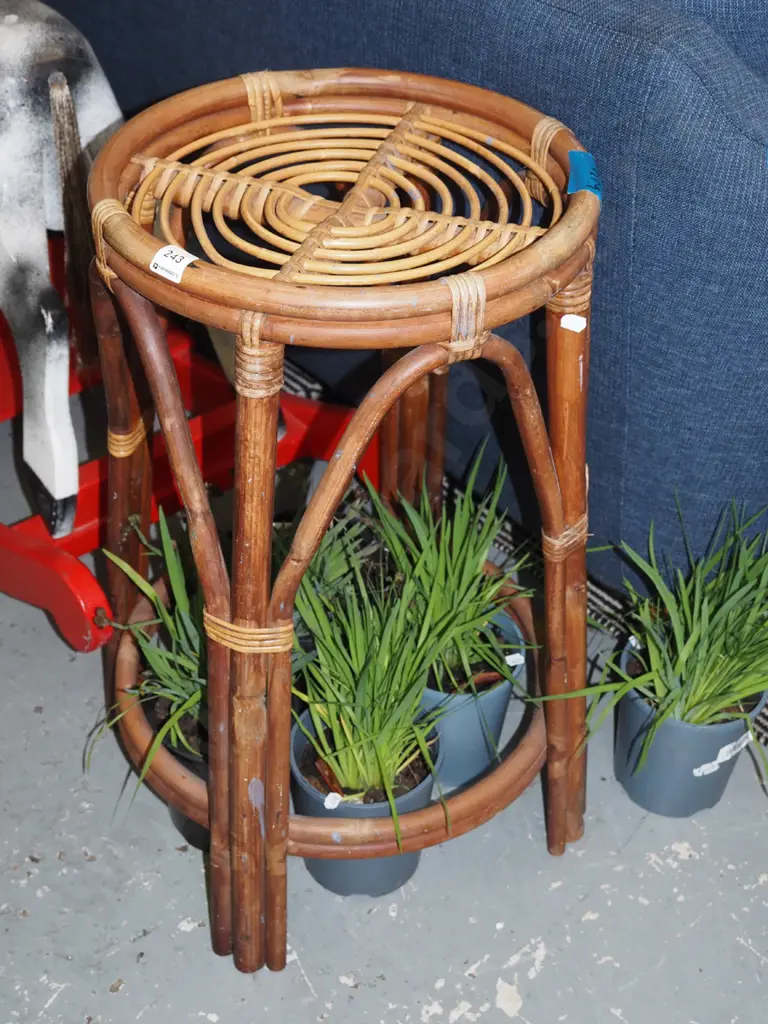cane jardiniere stand H-630 Image 1++