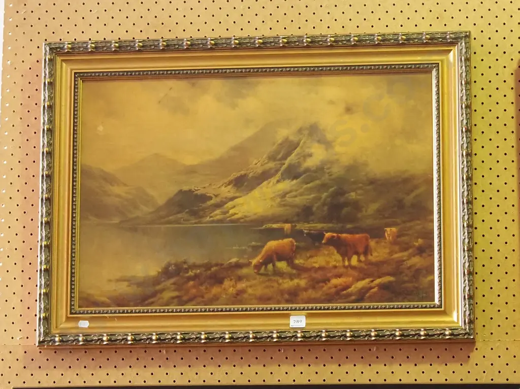 framed print - highland cattle Image 1++
