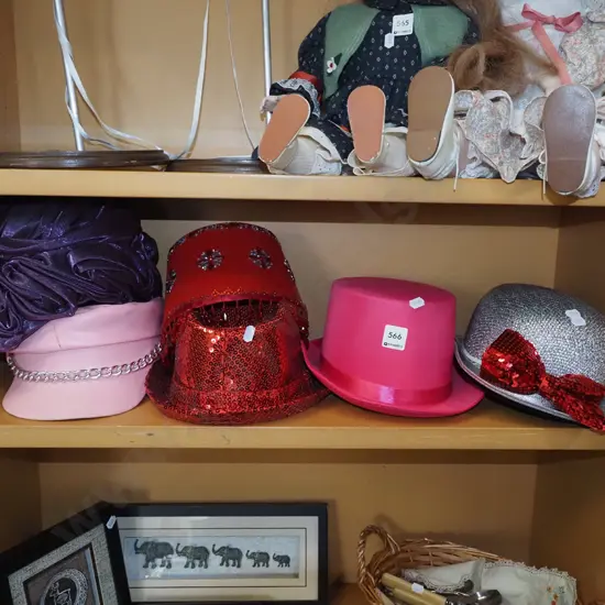 shelf of novelty hats