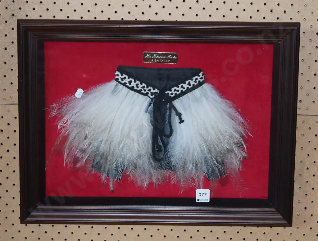 small framed feather cloak Image 1++