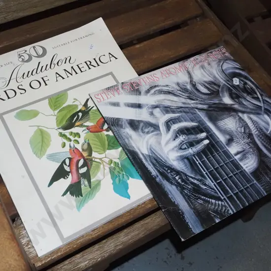 Birds of America book, Steve Stevens automatic playboys LP