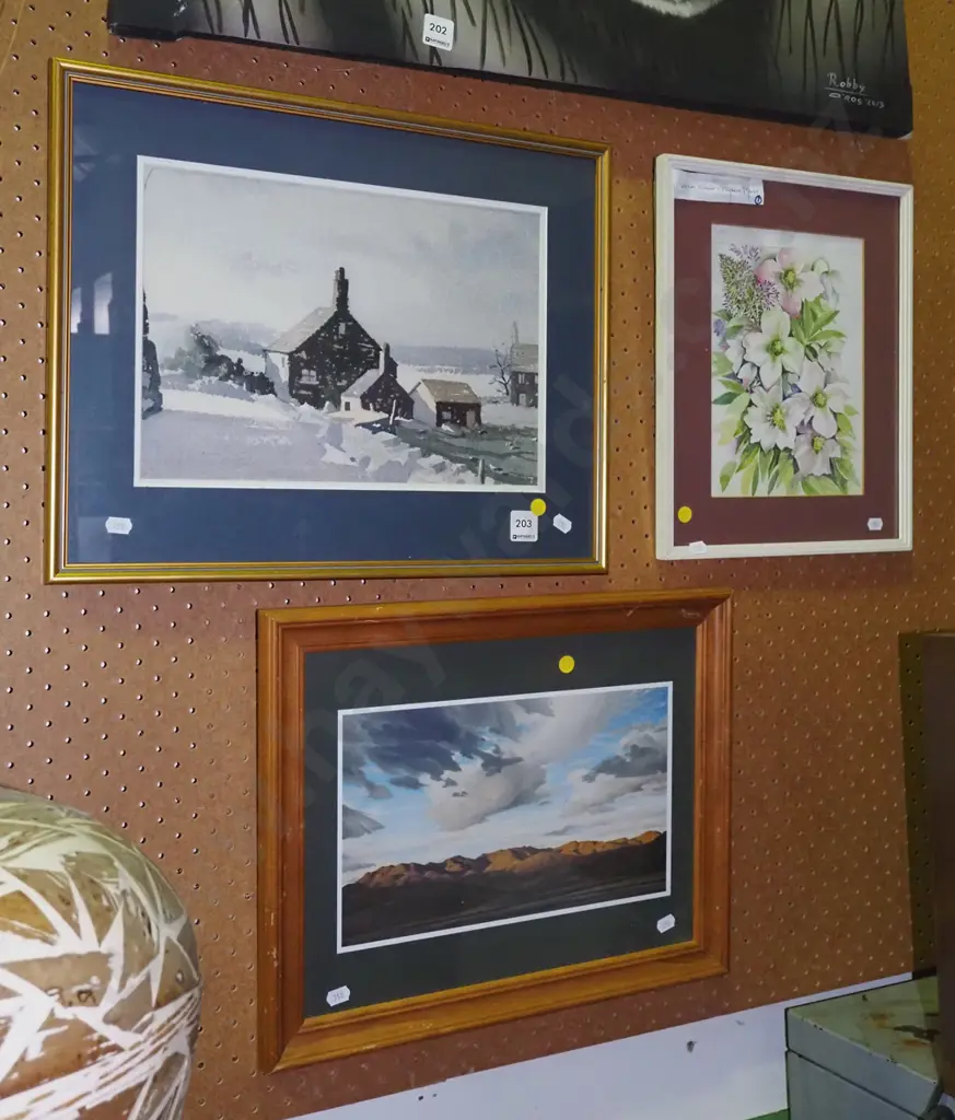 2x framed watercolors, Grahame Sydney print - Maniototo - yellow dots Image 1++