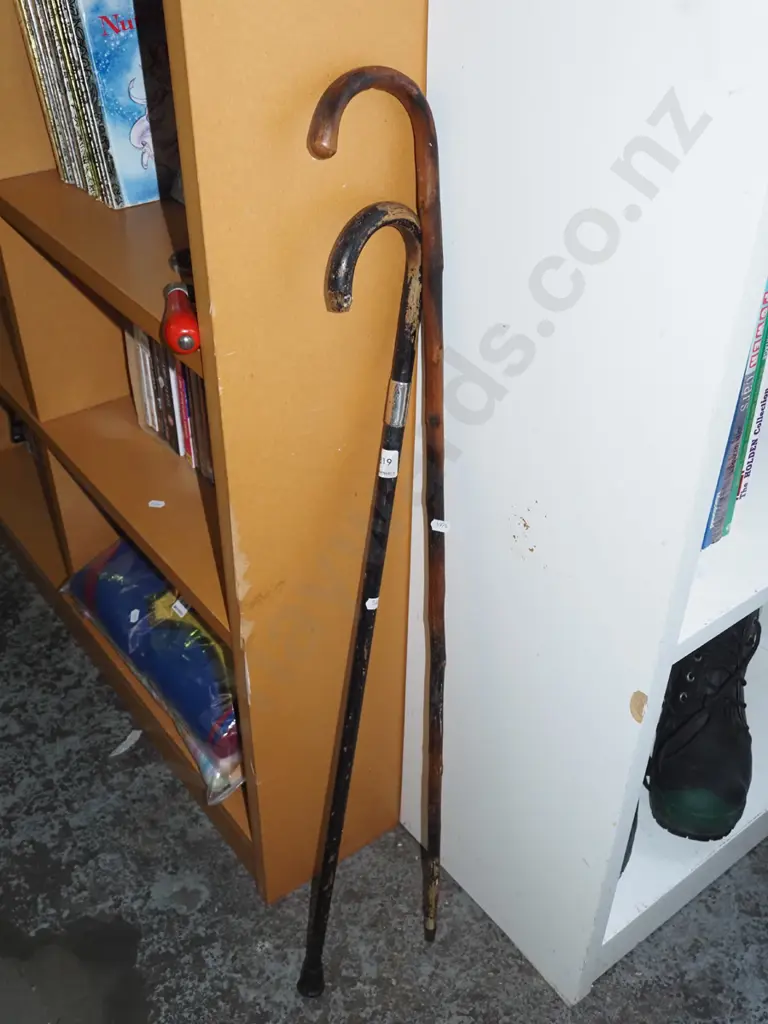 2x walking sticks Image 1++