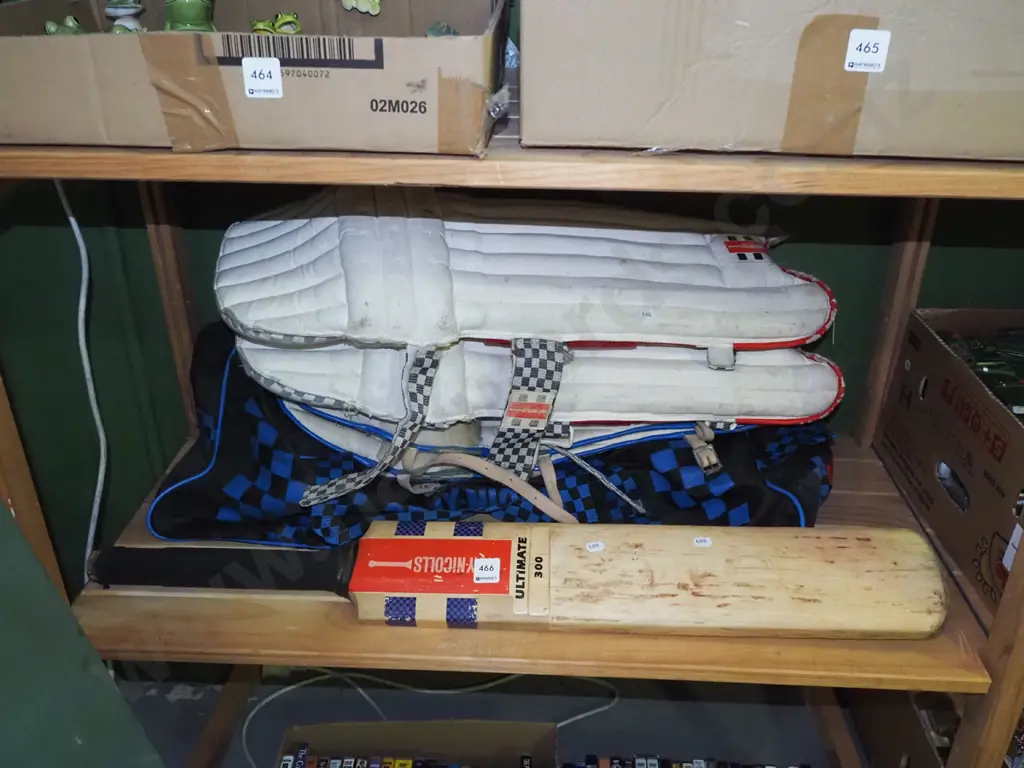 Grey Nicolls cricket bat and pads Image 1++