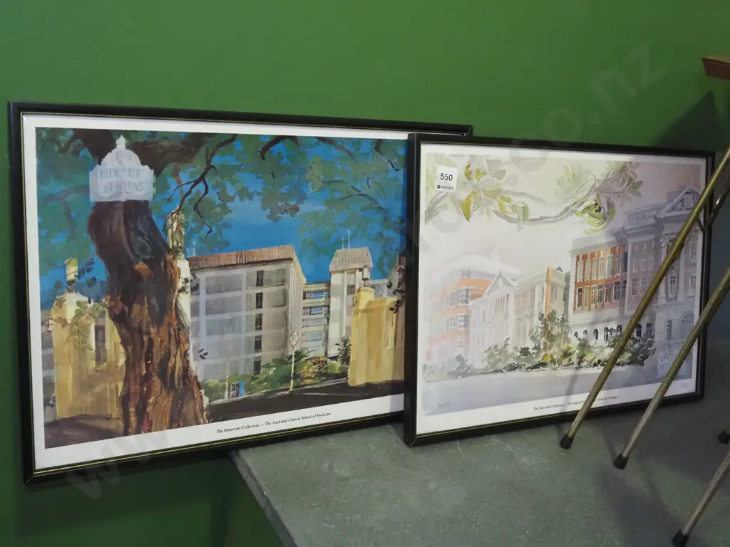 2x poster prints - Auckland and Dunedin Medical Schools Image 1++