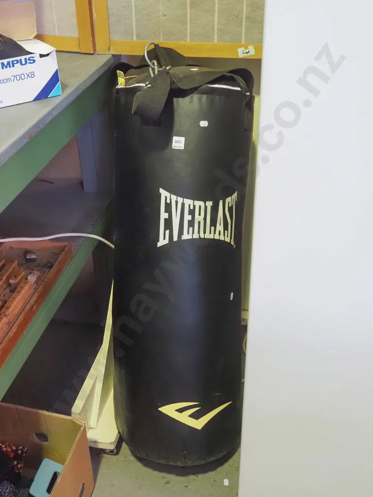 Everlast punching bag Image 1++