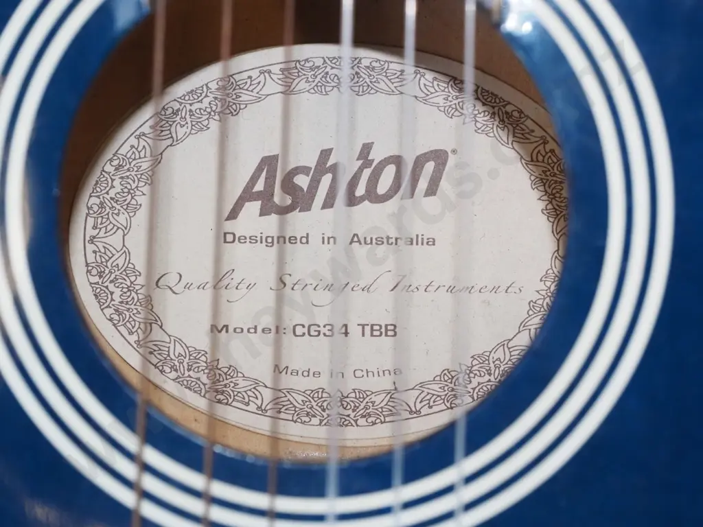 blue Ashton acoustic guitar and soft carry case Image 1++
