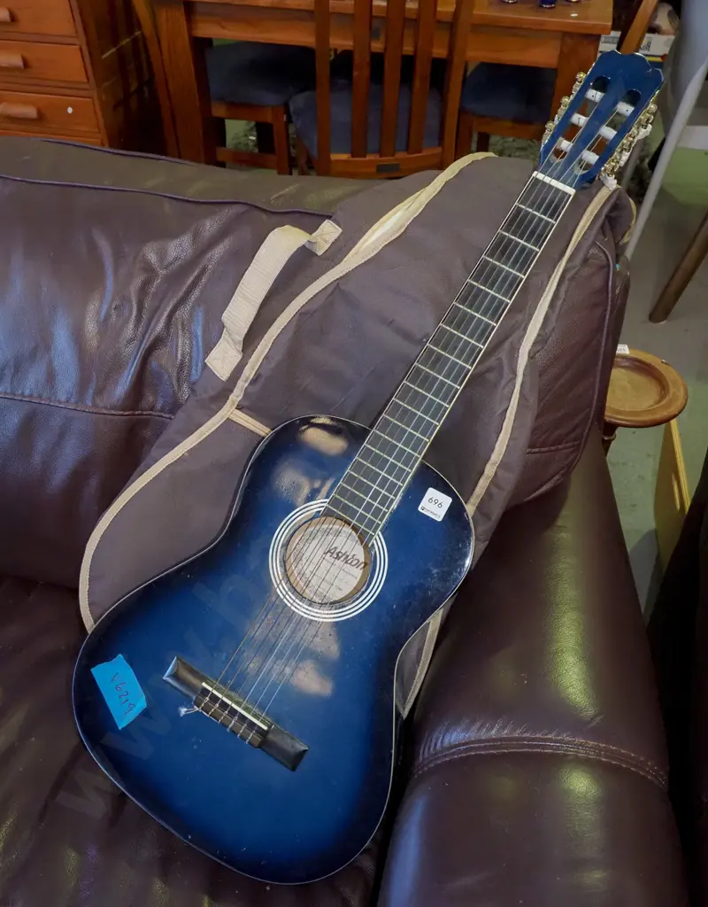 blue Ashton acoustic guitar and soft carry case Image 1++