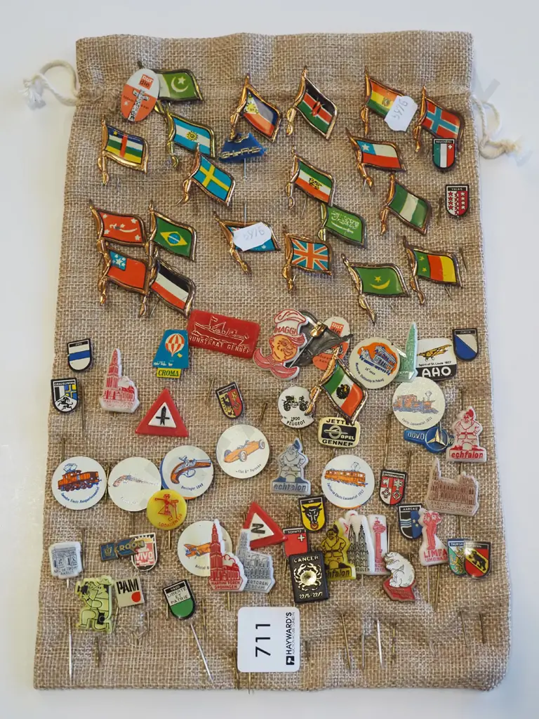 bag; numerous tie pins Image 1++