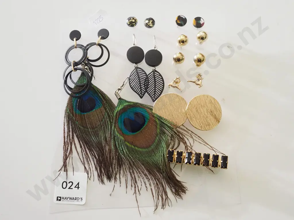 various earrings Image 1++