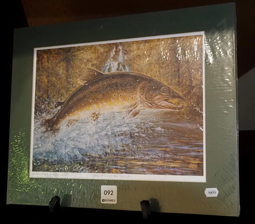 unframed print - leaping brown trout Image 1++