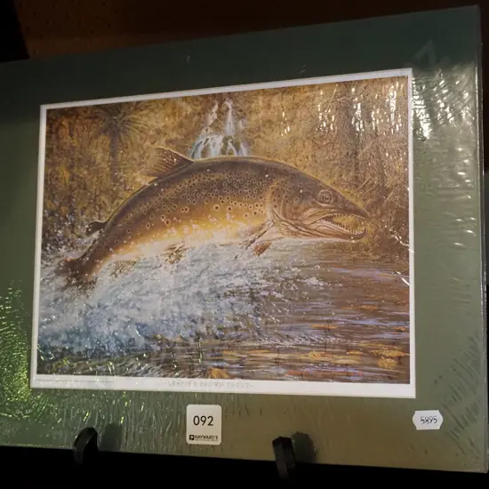 unframed print - leaping brown trout
