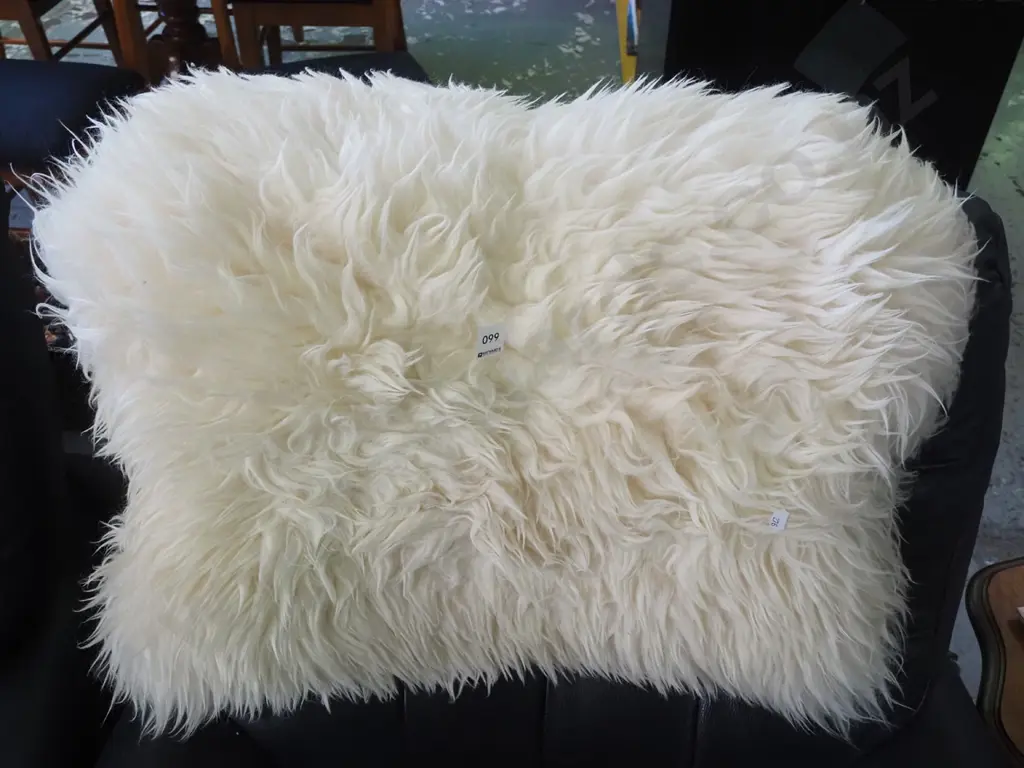 sheepskin Image 1++