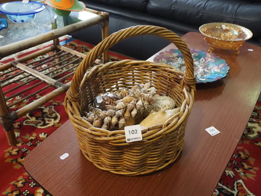cane basket and seashell contents Image 1++