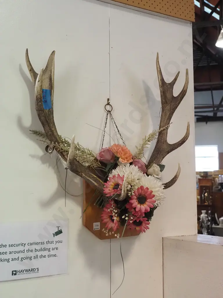 deer antlers and faux flowers Image 1++