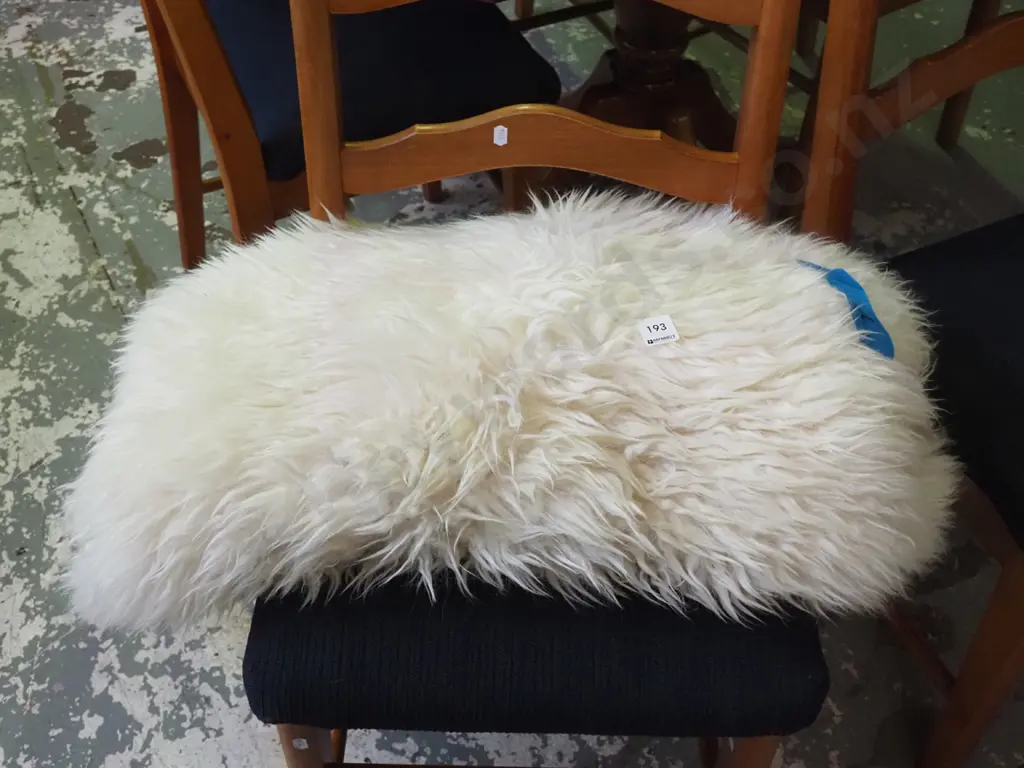 sheepskin Image 1++