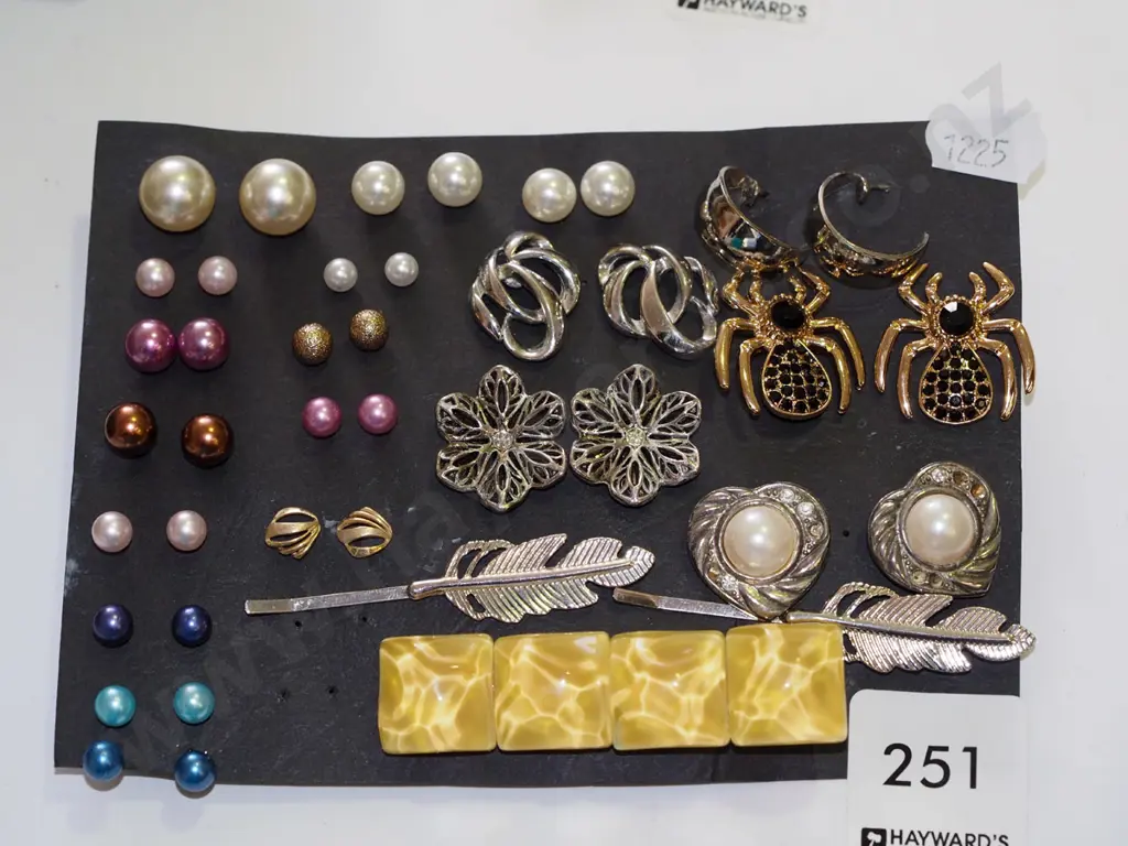 hair clips, earrings Image 1++