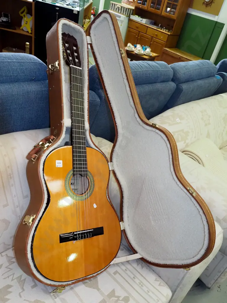 Misaki acoustic guitar and hard case Image 1++