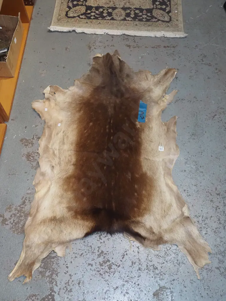 animal pelt floor mat L-1050 W-900 Image 1++