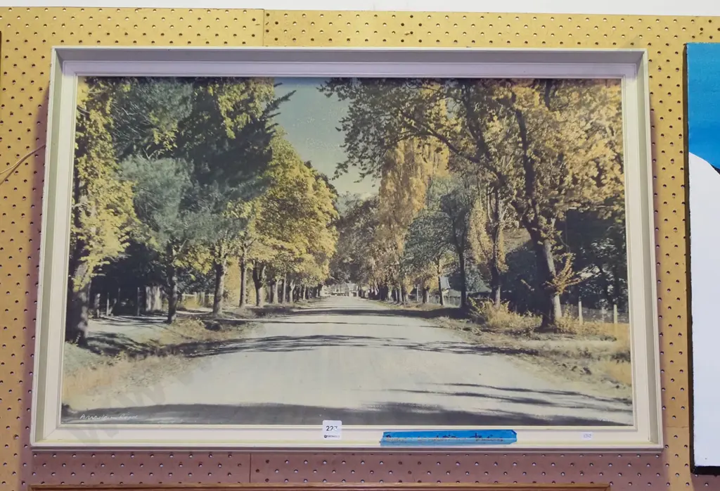 framed Whites Aviation hand coloured photograph - Arrowtown - fading and extensive marks Image 1++