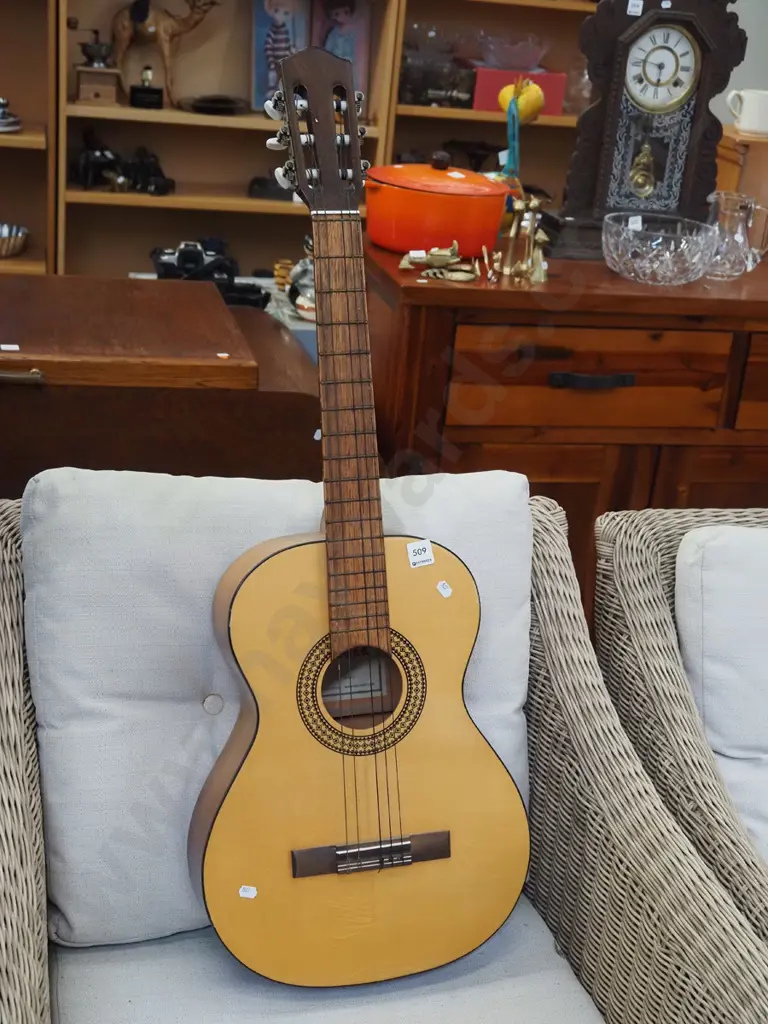 "Meister" acoustic guitar Image 1++