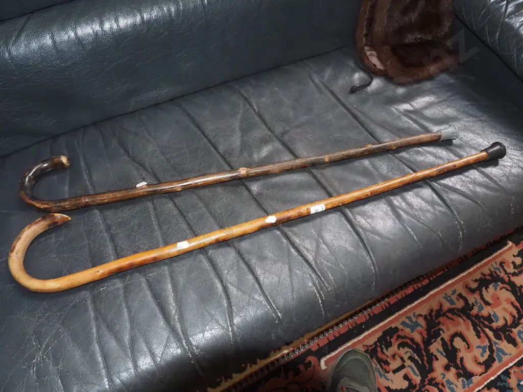 2x walking sticks Image 1++