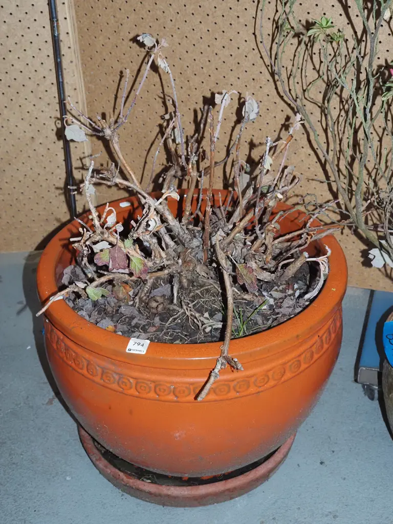 orange glazed garden planter with grapevine? H-340 Image 1++