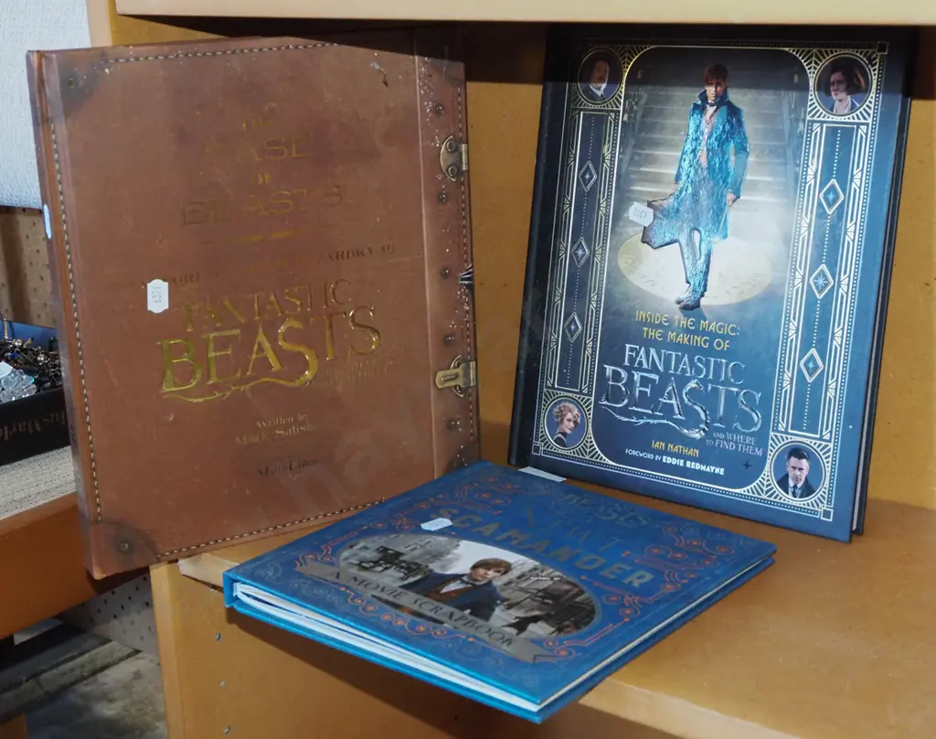 3x Fantastic Beasts books Image 1++