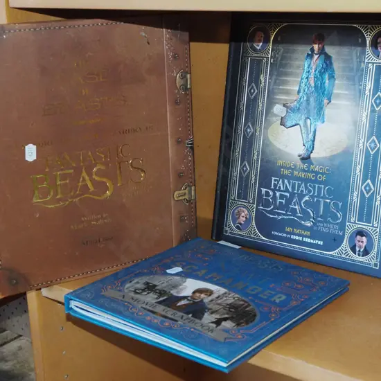 3x Fantastic Beasts books