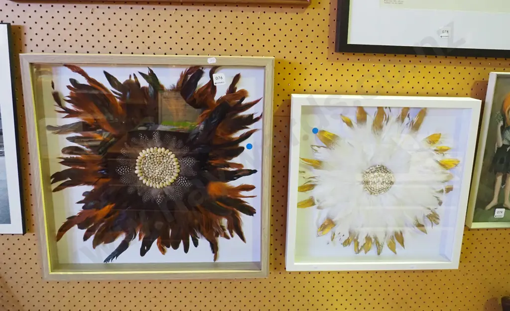 2x framed seashell and feather artworks - blue dots Image 1++
