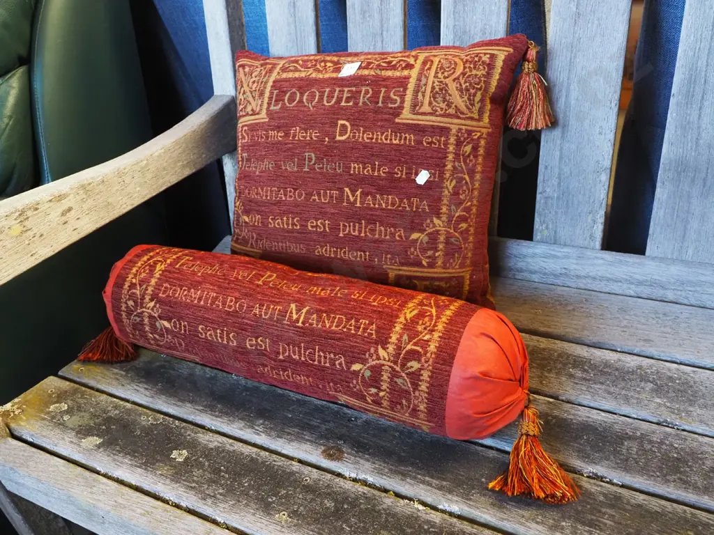 Latin themed bolster and cushion Image 1++