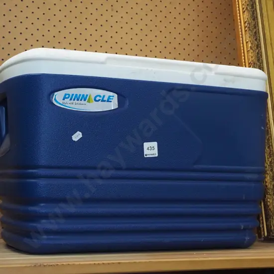 Pinnacle chilly bin