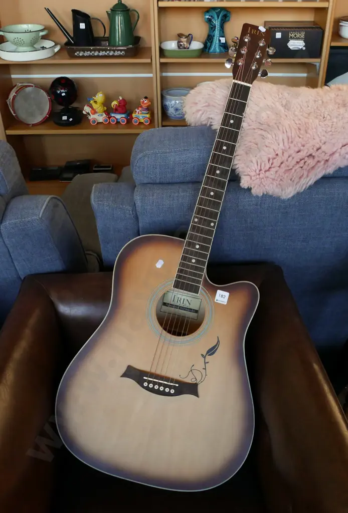 Irin acoustic guitar Image 1++