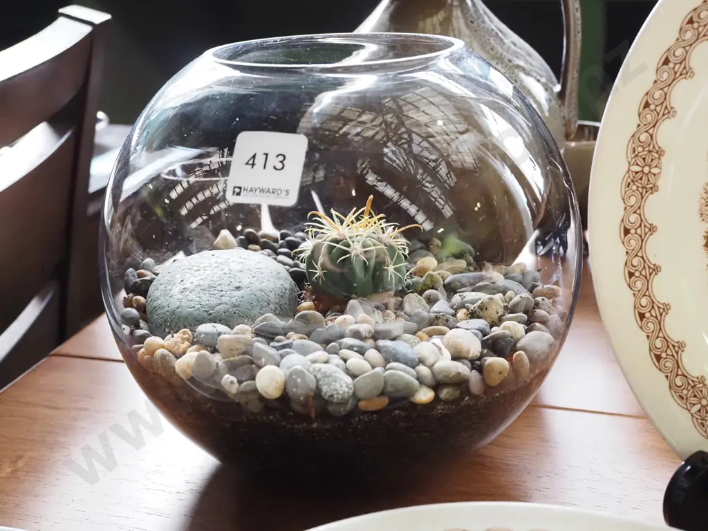 terrarium with cacti Image 1++