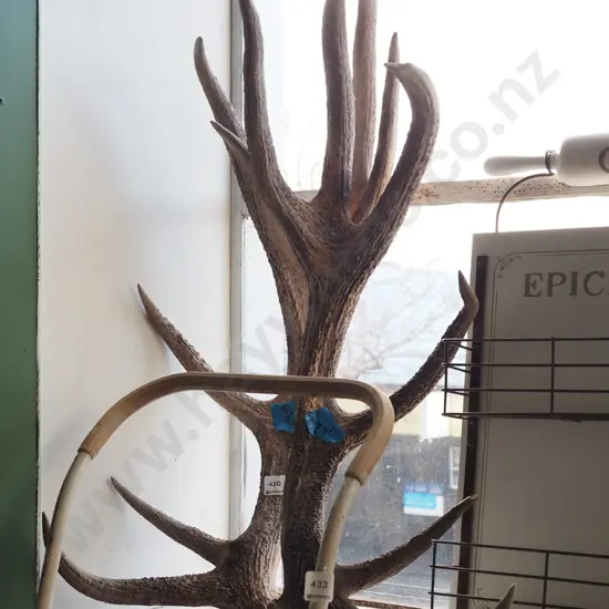 pair of large 7 pointer antlers
