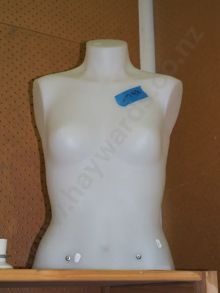 clear plastic female shop mannequin torso Image 1++
