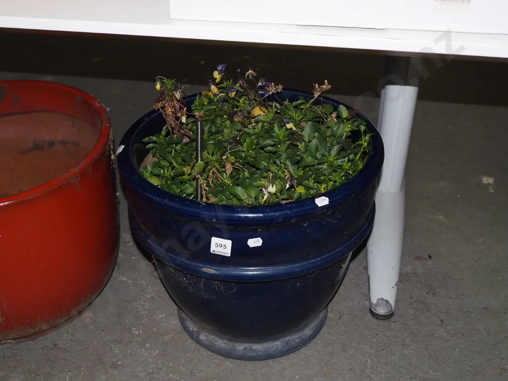 large blue glazed planter and plants H-330 Image 1++
