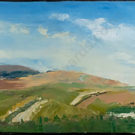 Lynley Van Alphen - boxed oil on canvas "Lake Onslow Rd Central Otago" H280 W450
