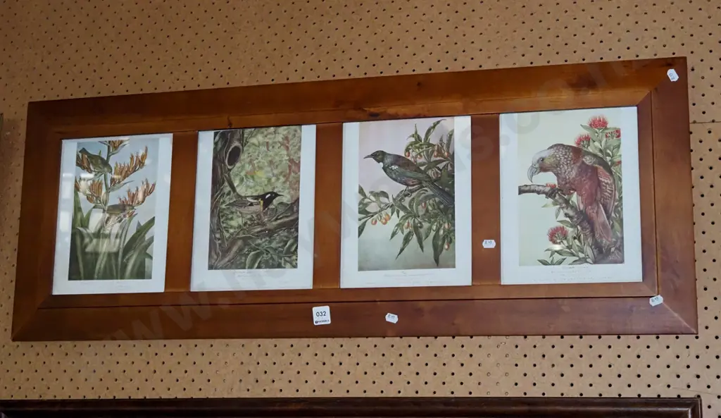 4x New Zealand bird prints in pine frame Image 1++
