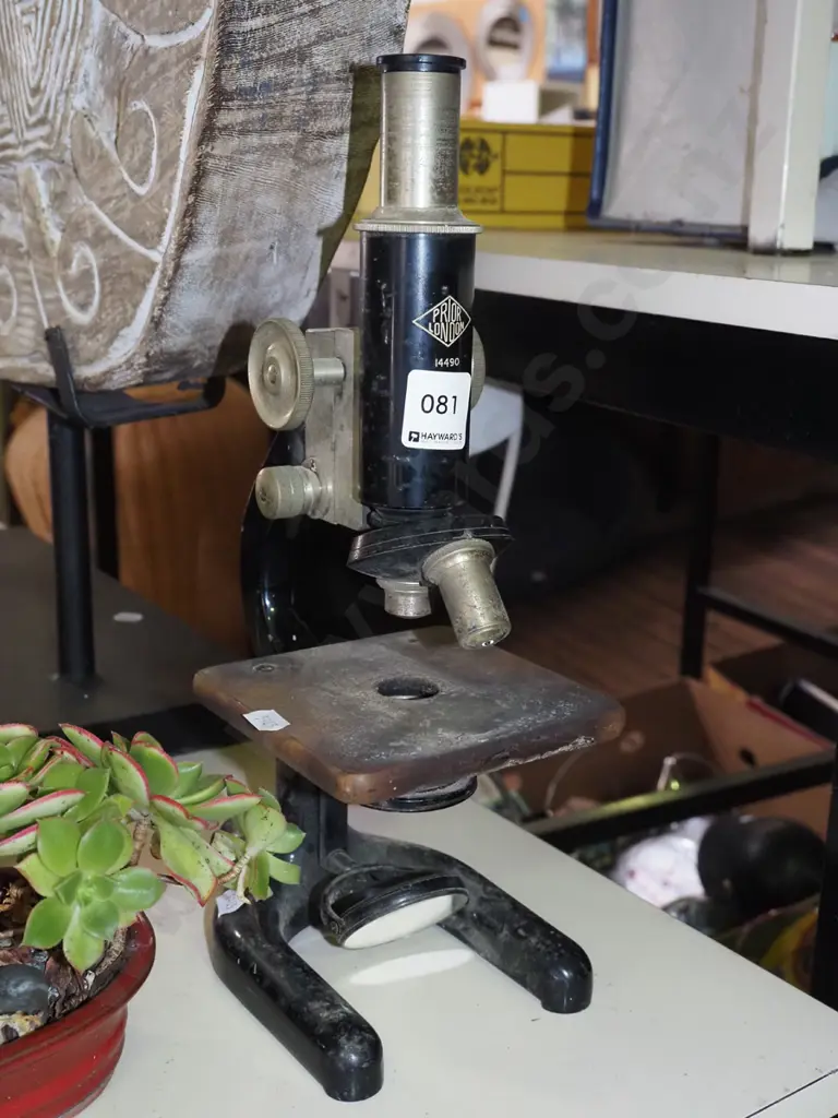 vintage English microscope Image 1++