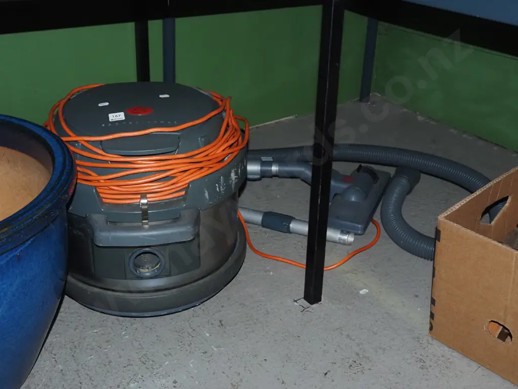 Lux Professional vacuum cleaner Image 1++