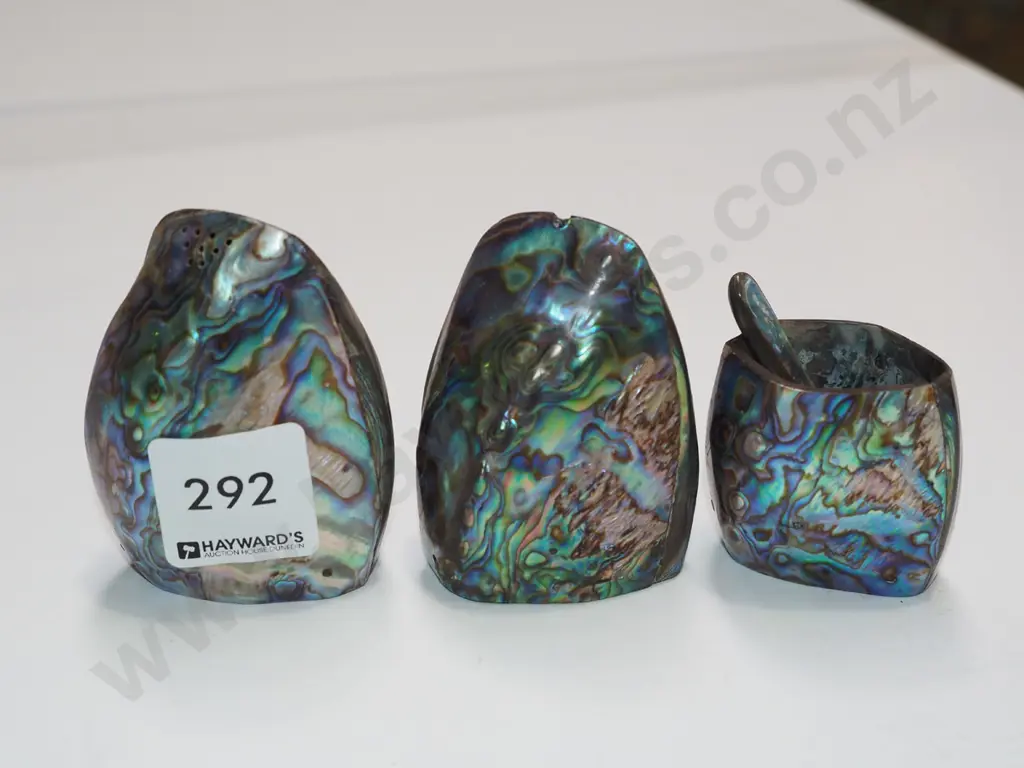 paua shell open salt, salt and peppers Image 1++