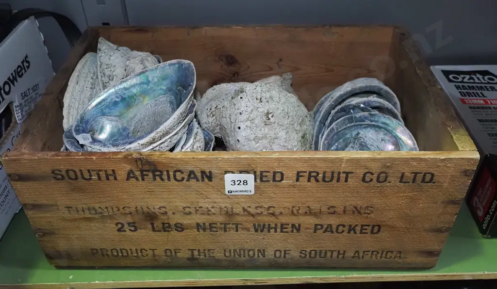wooden tray of paua shells Image 1++