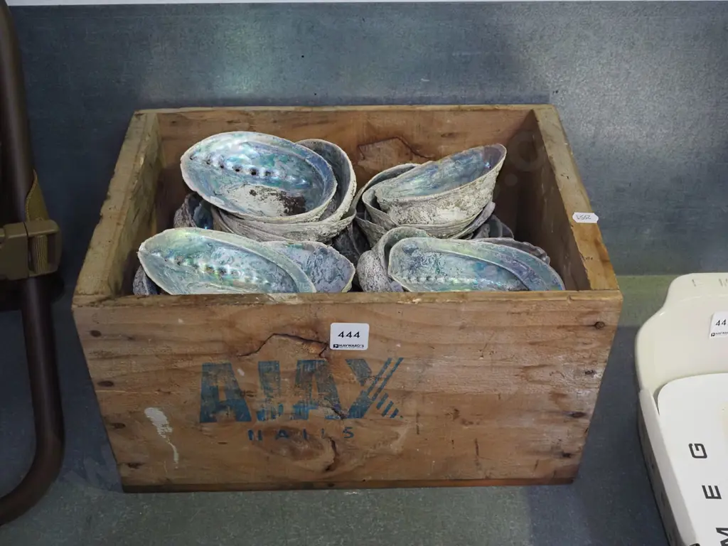 box; paua shells Image 1++